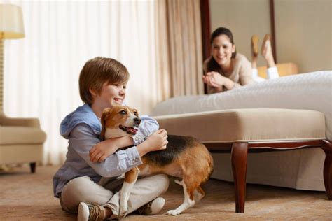 sheraton hotel petaluma|sheraton pet policy.